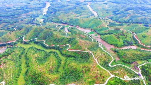 我叫张仁涛,今年55岁,干水土保持这一行以经34年。