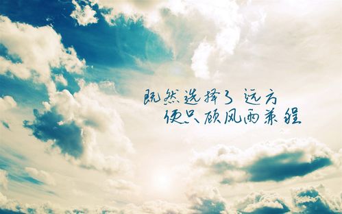 千瓣莲象征坚持不懈与追求完美，寓意着对梦想的执着追求