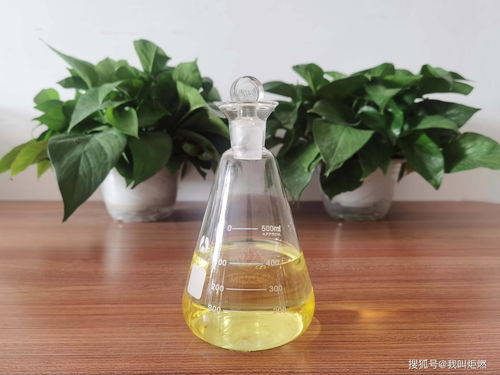 想卖植物油燃料，需要哪些手续
