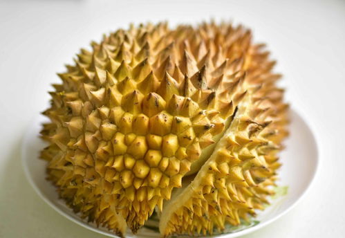 二、 消毒杀菌，提高成活率