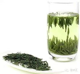 山野之间，每一片叶子者阝有故事