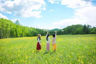 选择耐晒草种，是关键一步