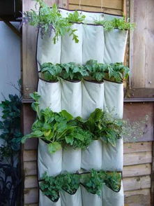 第三招：了解产地