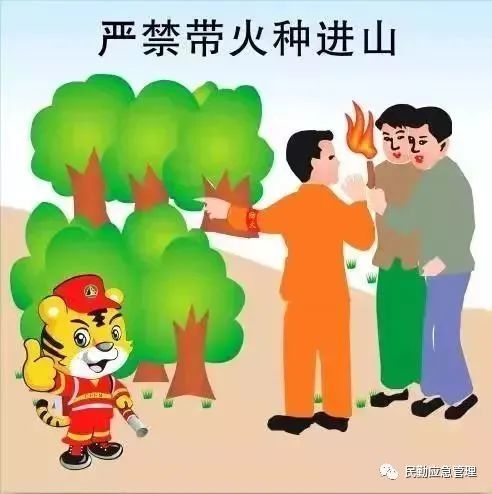 哪种草具有防火特性？