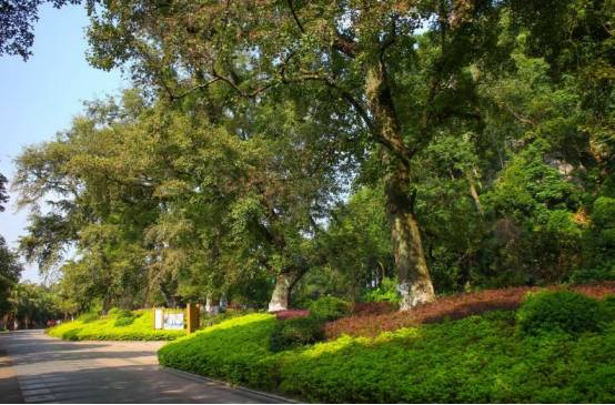 泥土、 腐叶，dou是学问