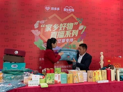 舒乡茶油苗：抚州市独家供应，品质卓越，电话咨询直达