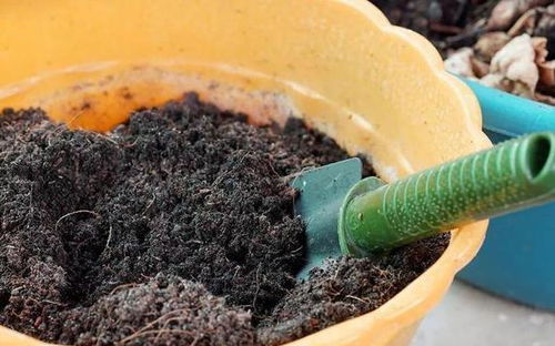 自制营养土， 学问可不少