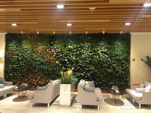 植物种类与色彩搭配