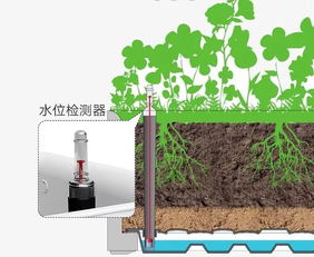 高花盆养植指南：挑选适合的花卉，打造美观园艺景观