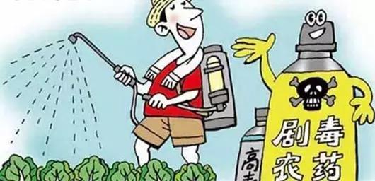 农药，如何避免危害？