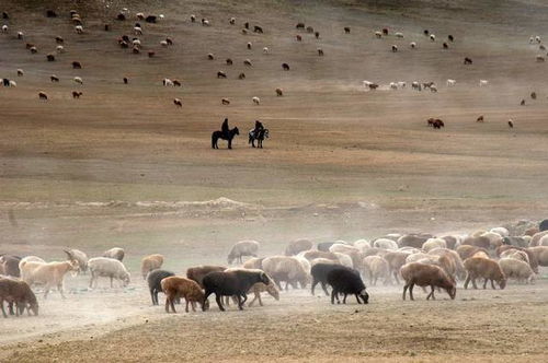 生态平衡，怎么破？