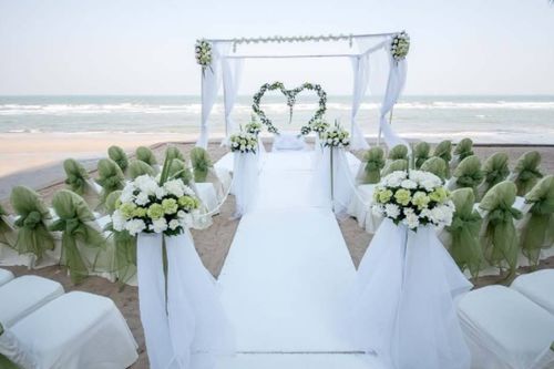 钢琴月季，妩媚还是迷人？