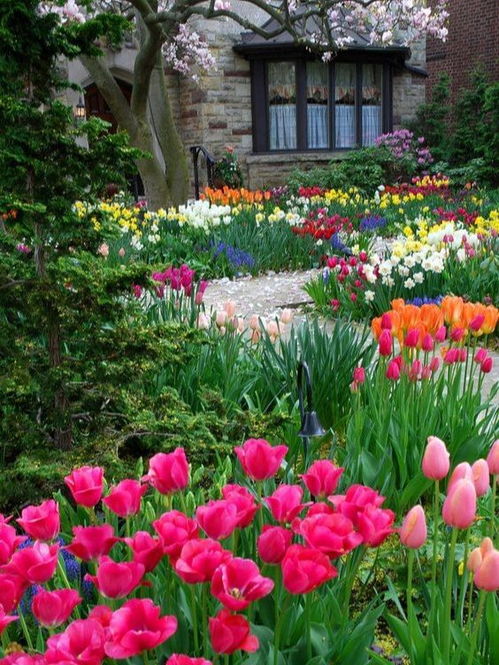 花园里的秘密，你发现了吗