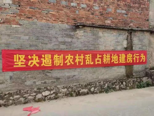 揭秘：耕地与基本农田的区别及建房政策，一文读懂！