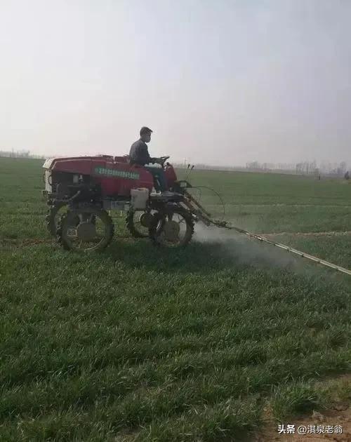 小麦除草剂与胺鲜酯能否复配？除草剂加芸苔素混用效果如何？