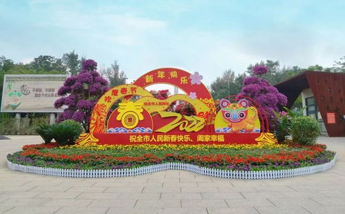 听说春节期间北海长青路花卉市场热闹非凡