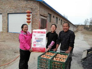 无抗饲料对养殖业的影响有哪些？对动物健康、环境及市场有哪些潜在影响？