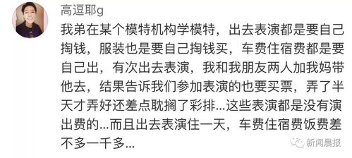 “用白玫瑰表达歉意，能否得到原谅