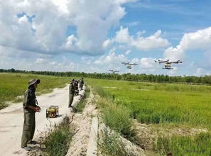 庄稼的笑脸， 背后的代价