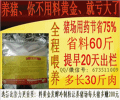 泌乳猪饲料如何搭配能节省8000元？老手私藏黄金配方是啥？