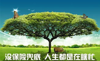 想让大树死得快？过度修剪一定要避免