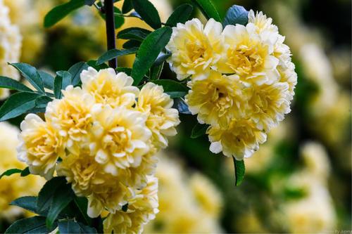 生长速度快不快？