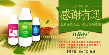 果树催红剂如何正确使用以达到最佳催红效果？