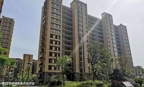 广西南宁华滋园山茶油：优质价格，哪里收购？