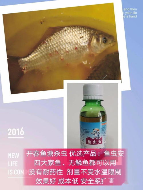 原因三：水质问题，影响药剂稳定性