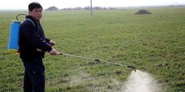 除草剂的使用效果与温度高低成正比
