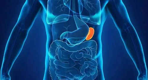 水产脾肾白浊病：病因解析与防控策略