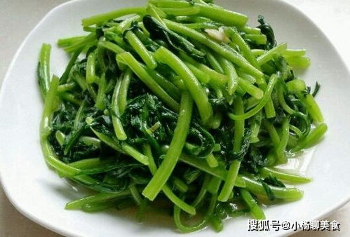 油麦菜：40天的美味