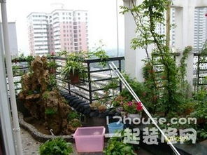 屋顶花园打造，花木选择大揭秘！