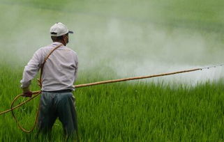 农药使用的注意事项