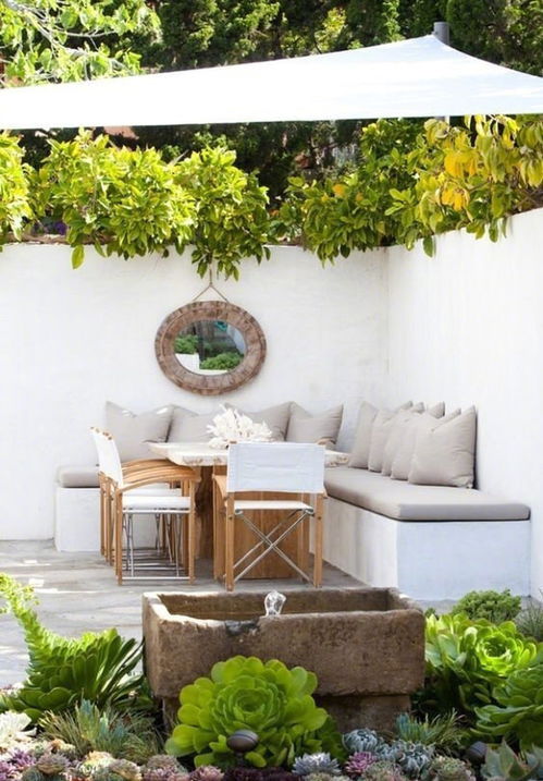 庭院种草， 选对草种是关键