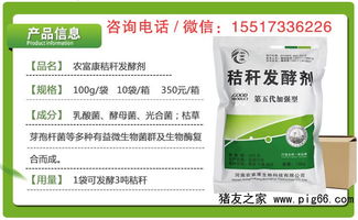 为什么用同样的玉米秸秆喂牛，有人能省下30%的饲料费？
