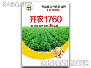 花生种子：Neng否承受乙草胺的洗礼