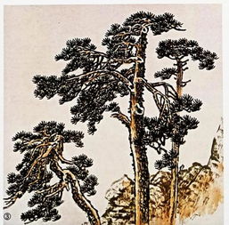 松树主干造型的基础知识