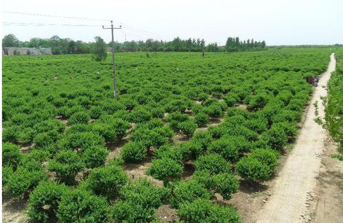 采摘工具，得选对