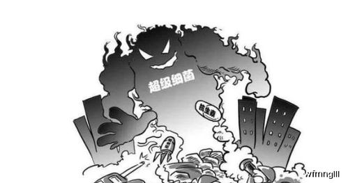 猪场抗生素混感治疗时如何合理配伍以延缓耐药性发展？