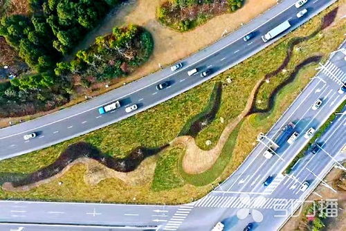 城市道路绿化设计中的色彩搭配技巧