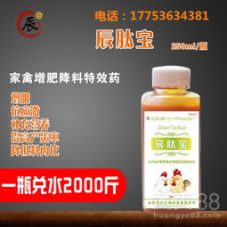 “抗氧化维生素助力家禽抗热应激养殖”