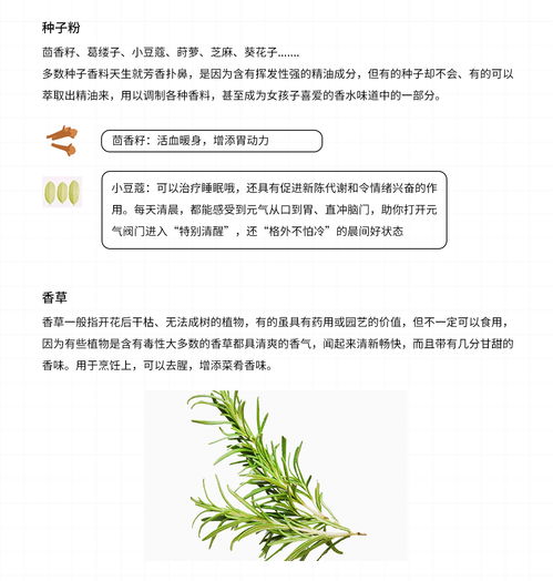南方和北方草种差异大不大？揭秘这些嫩省一半学费！