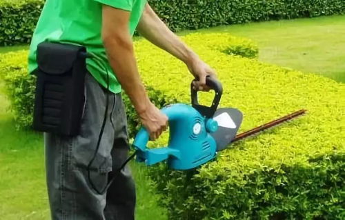 藤蔓类修剪：美化环境， 增加花朵