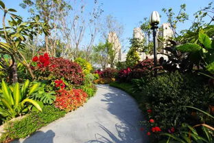 花境设计时应注意的几个方面