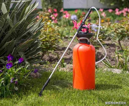 常备杀虫剂和杀菌药，便宜又好用