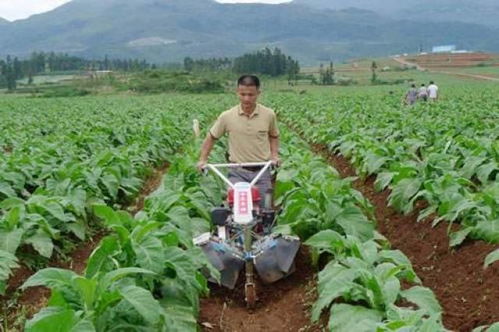 喷雾机具与喷洒方法