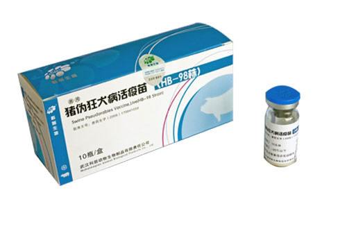瘟易净与伪狂犬活疫苗混合免疫，如何实现增效降本？
