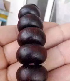 算盘树根药用价值高吗？其功效有哪些