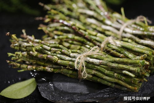 潜力品种， 收益高